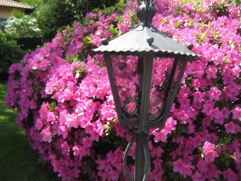 Villa Margherita Lake Maggiore Ngoại thất bức ảnh